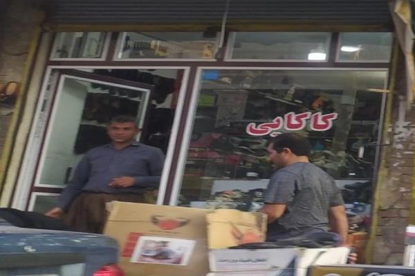 تصویرکفاشی کاکایی 