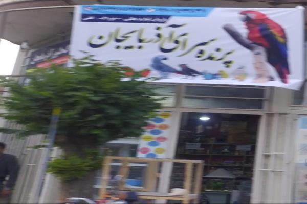 تصویرپرنده سرا و خوراک طیور
