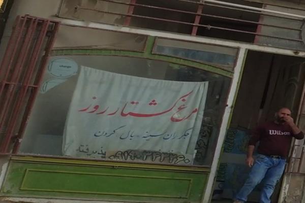 تصویرمرغ کشتار روز