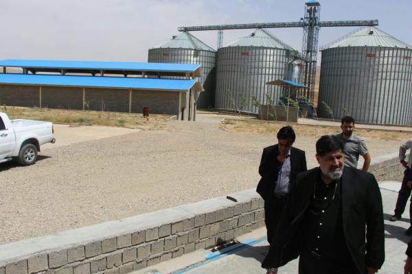 برای اولین بار؛ خرید گندم در تکاب از مرز ۴۰ هزار تُن گذشت تصویر خبر